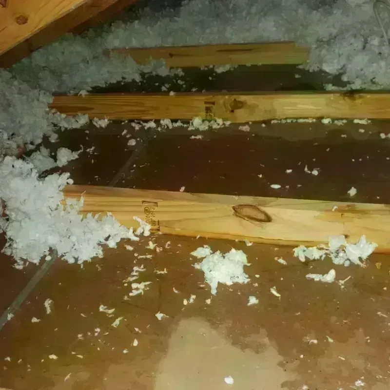 Attic Water Damage in Hickman, NE